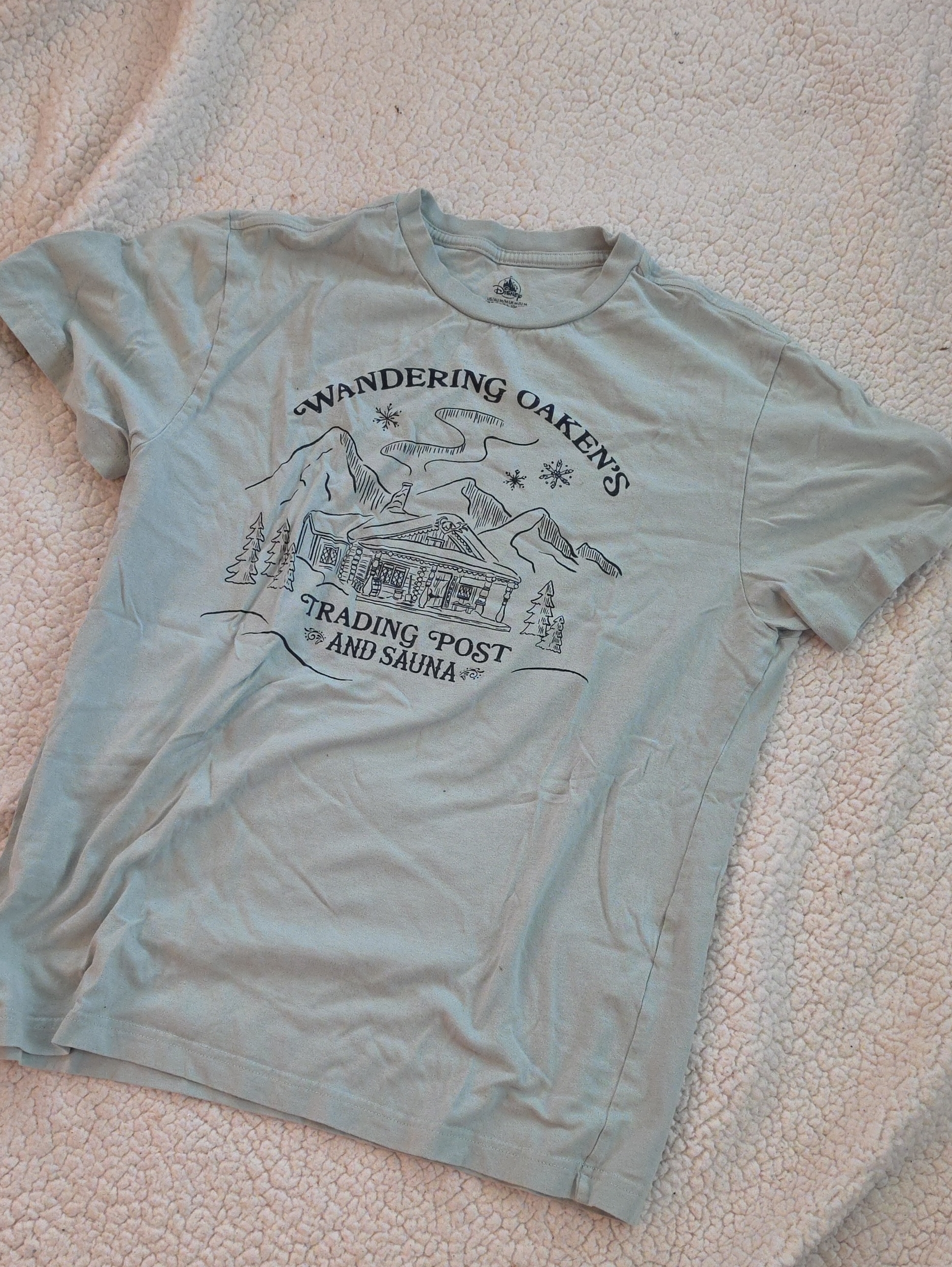 Disney Frozen Trading Post And Sauna Graphic Tee - Light Blue